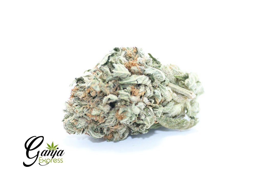 $100 OG (Bulk)