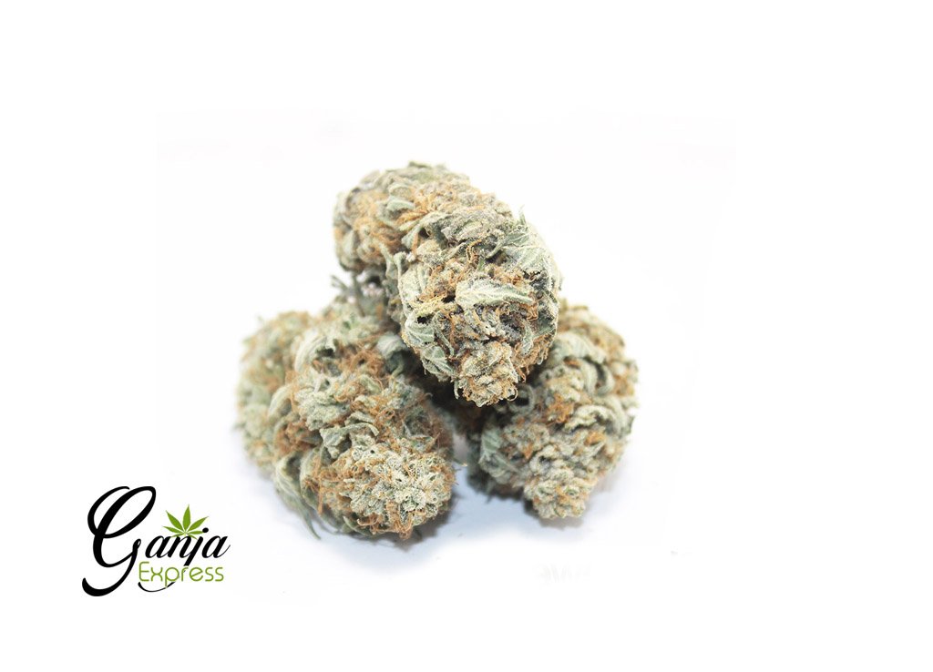 $119 Ounce Special