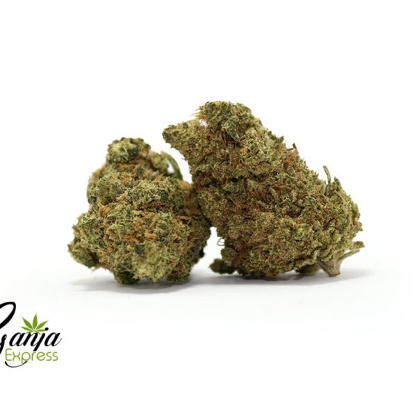 $129 Oz – Jack Candy