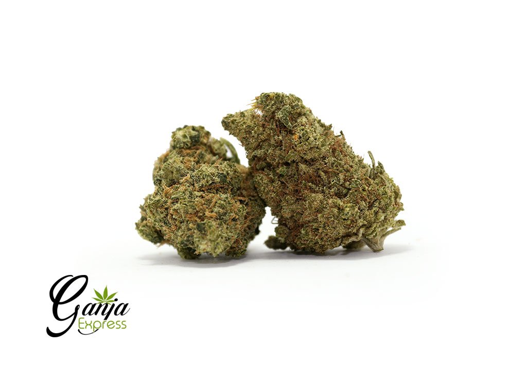 $129 Oz – Jack Candy