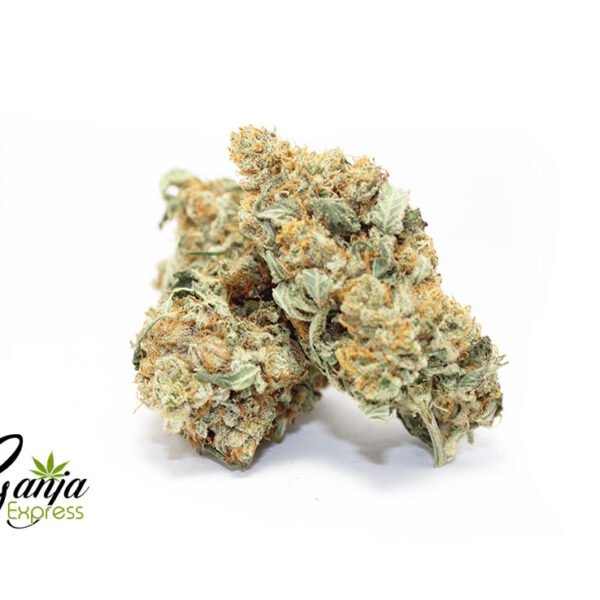 2020 Indica Special (Bulk)