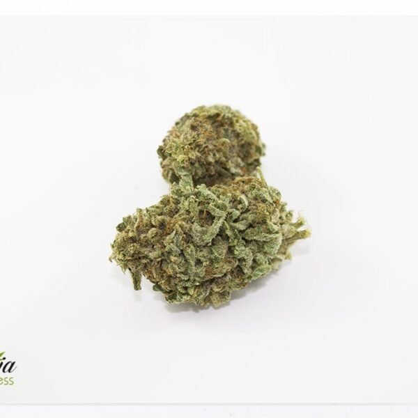 Blue Cookies (Bulk)