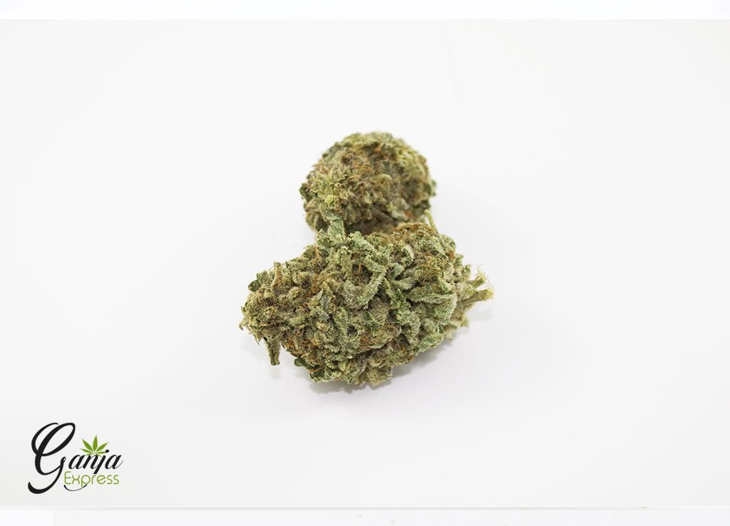 Blue Cookies (Bulk)