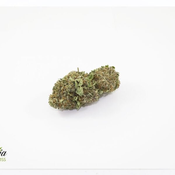 Blue Kush