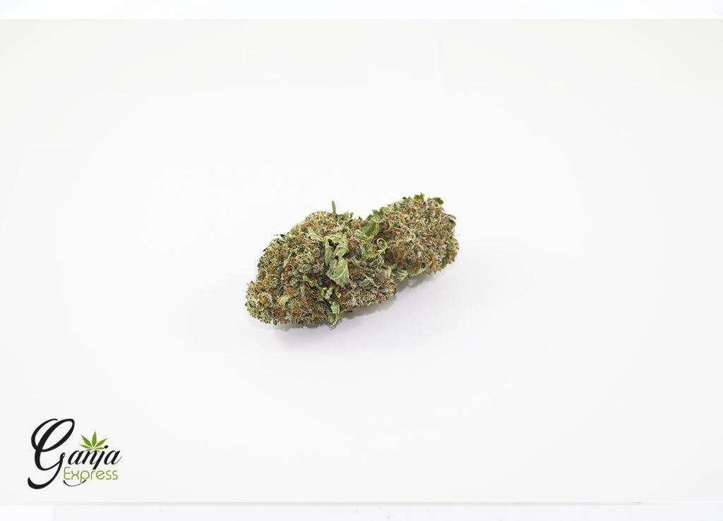 Blue Kush