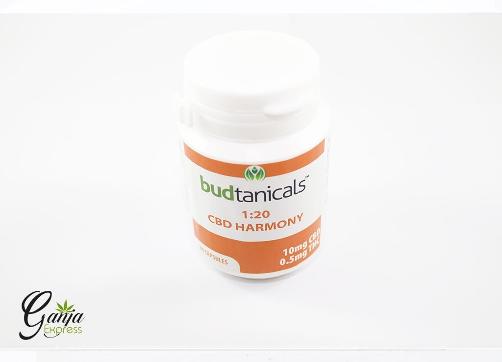 CBD Harmony 1:20 Capsules