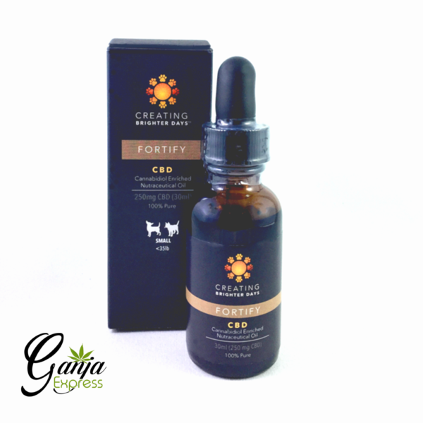 CBD Pet Oil (250mg CBD) – Fortify