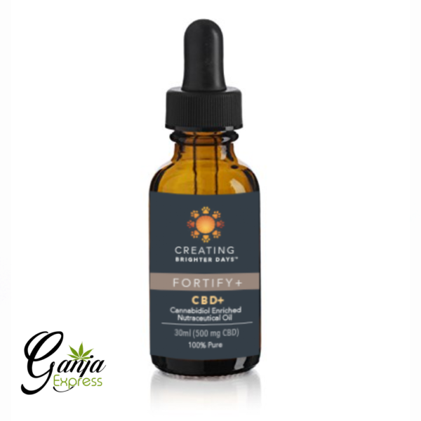 CBD Pet Oil (500mg CBD) – Fortify Plus