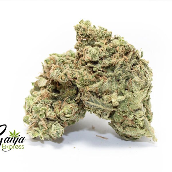Green Dream (Bulk)