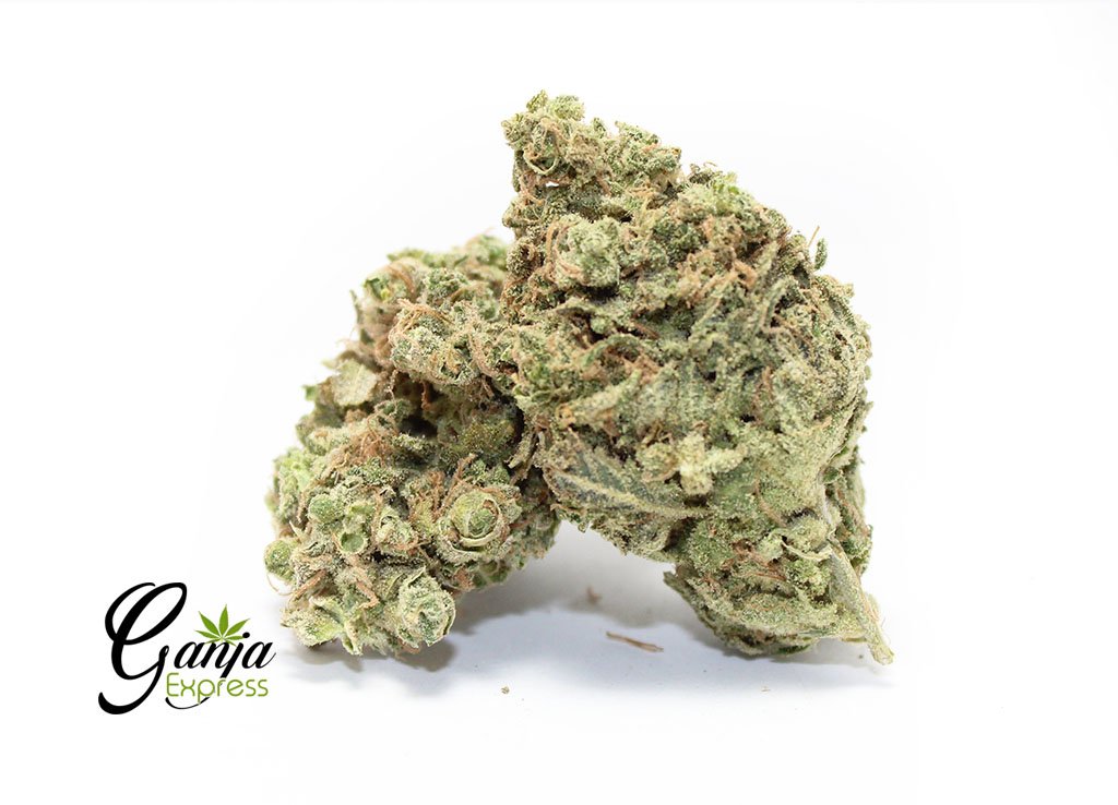 Green Dream (Bulk)