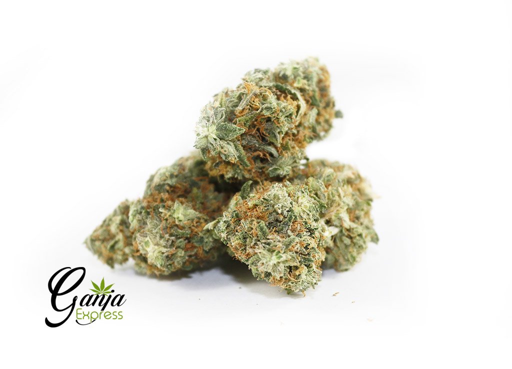 Kosher Kush (Greenstar Farms)