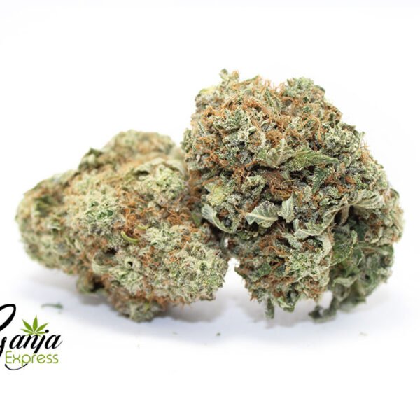 House Tuna OG (Bulk)