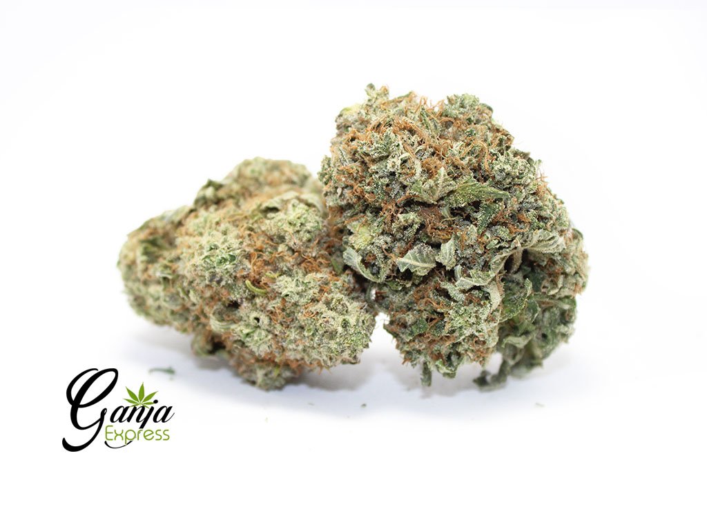 House Tuna OG (Bulk)