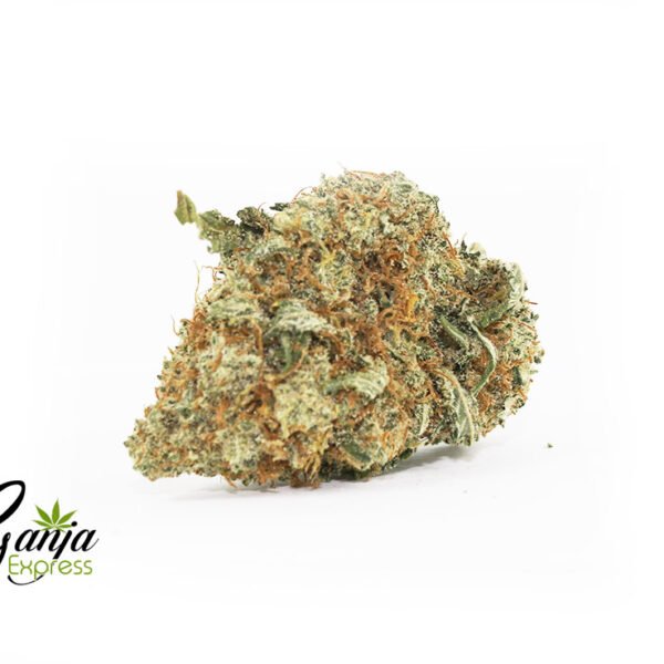 Irene Kush #2