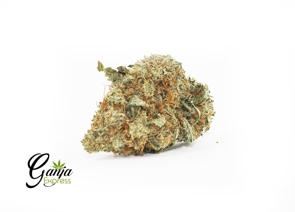 Irene Kush #2