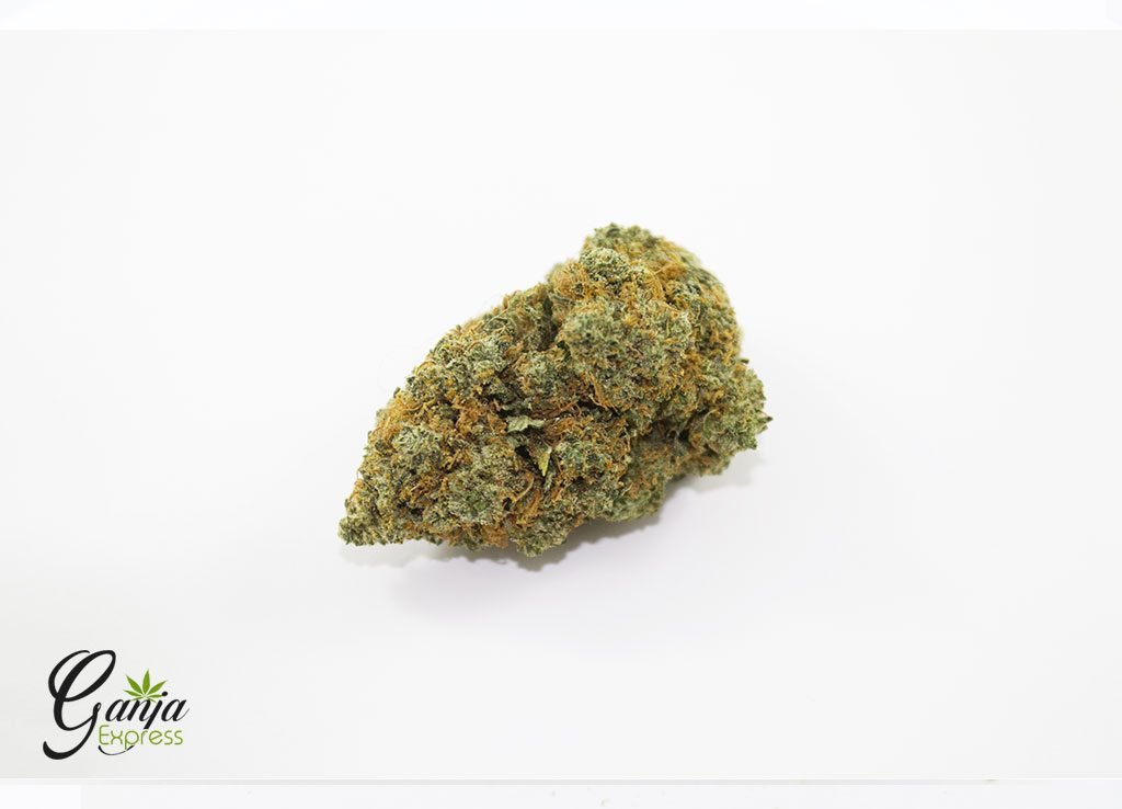 OG #18