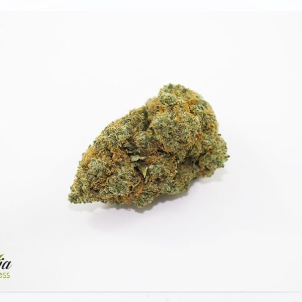 OG #18