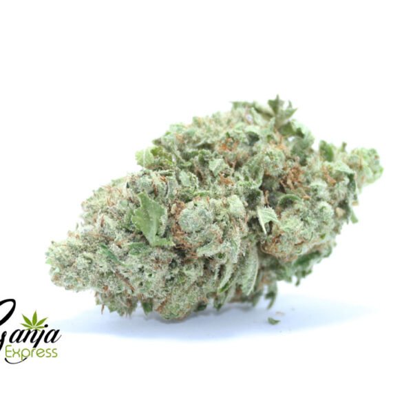 Pineapple Jack