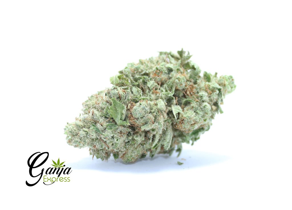 Pineapple Jack