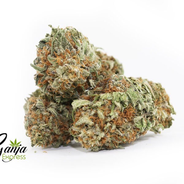White King Kush