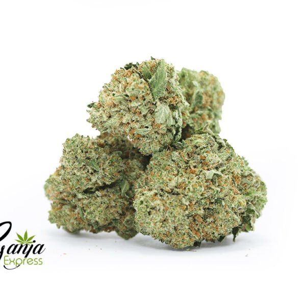 Albino Kush
