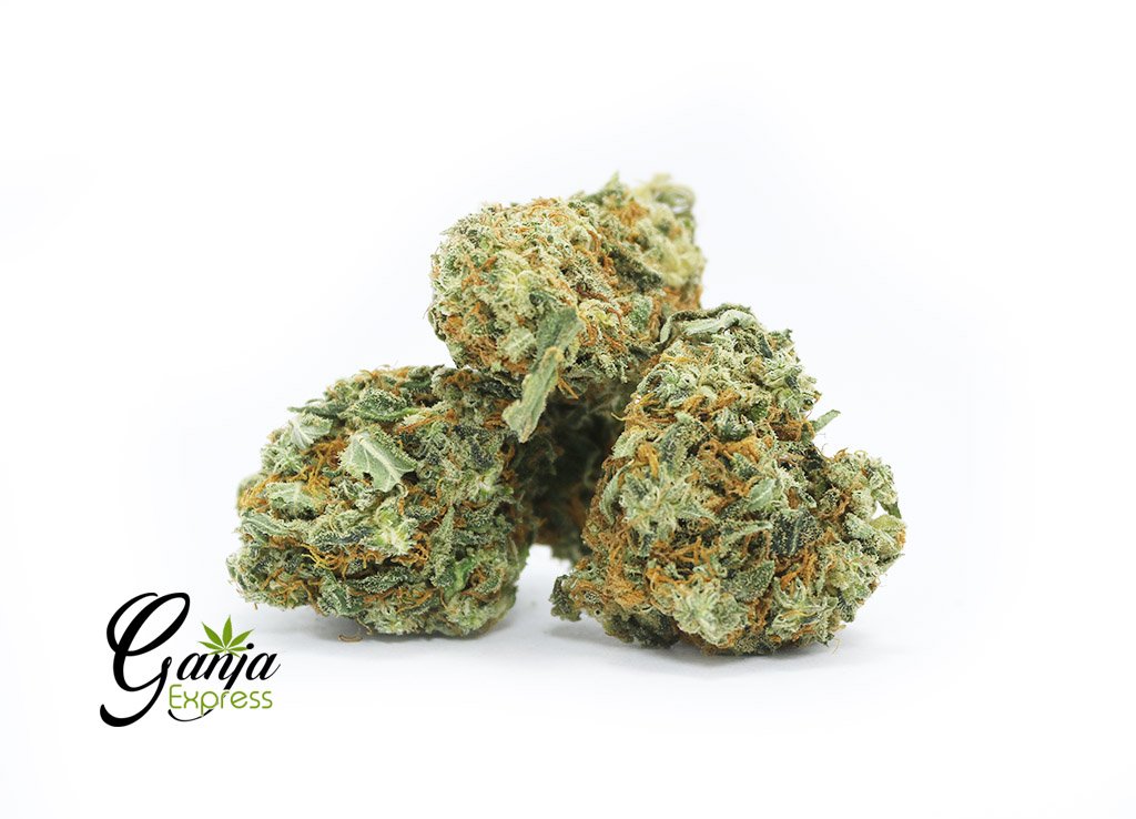 $149 oz – Amnesia Haze Winter Special