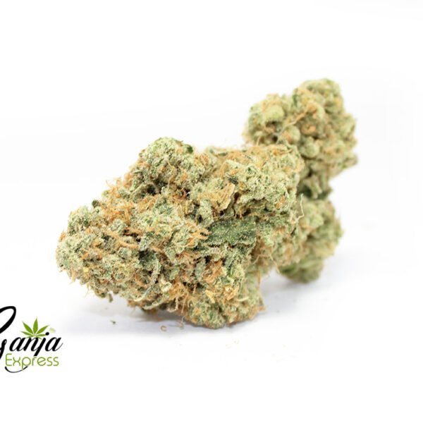 Baked Zombie Cookies (Bulk)