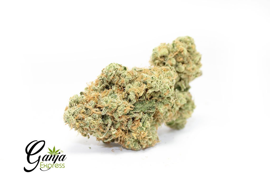 Baked Zombie Cookies (Bulk)