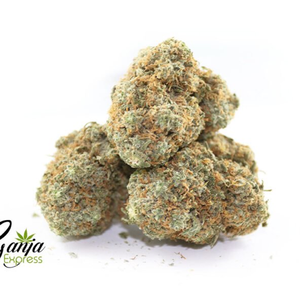Bunny Master OG