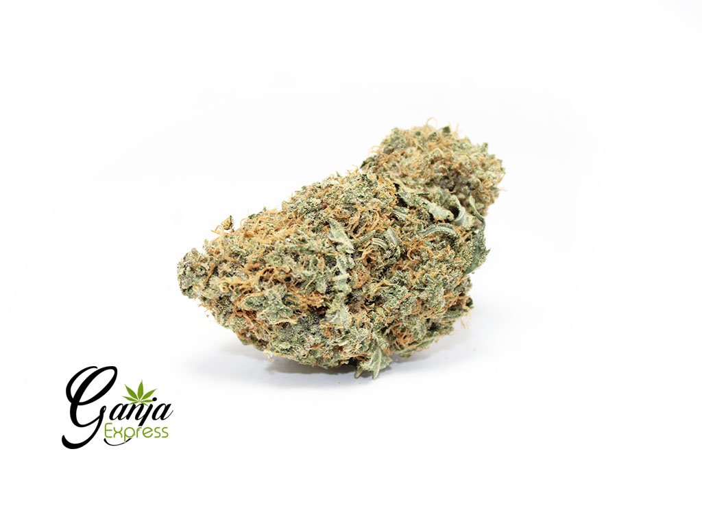 Cantaloupe Haze (Bulk)