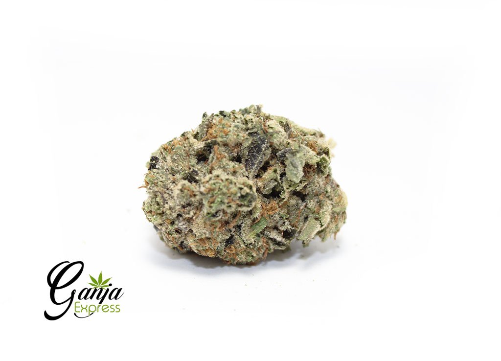 Ganja Farm’s Black Tuna (Bulk)