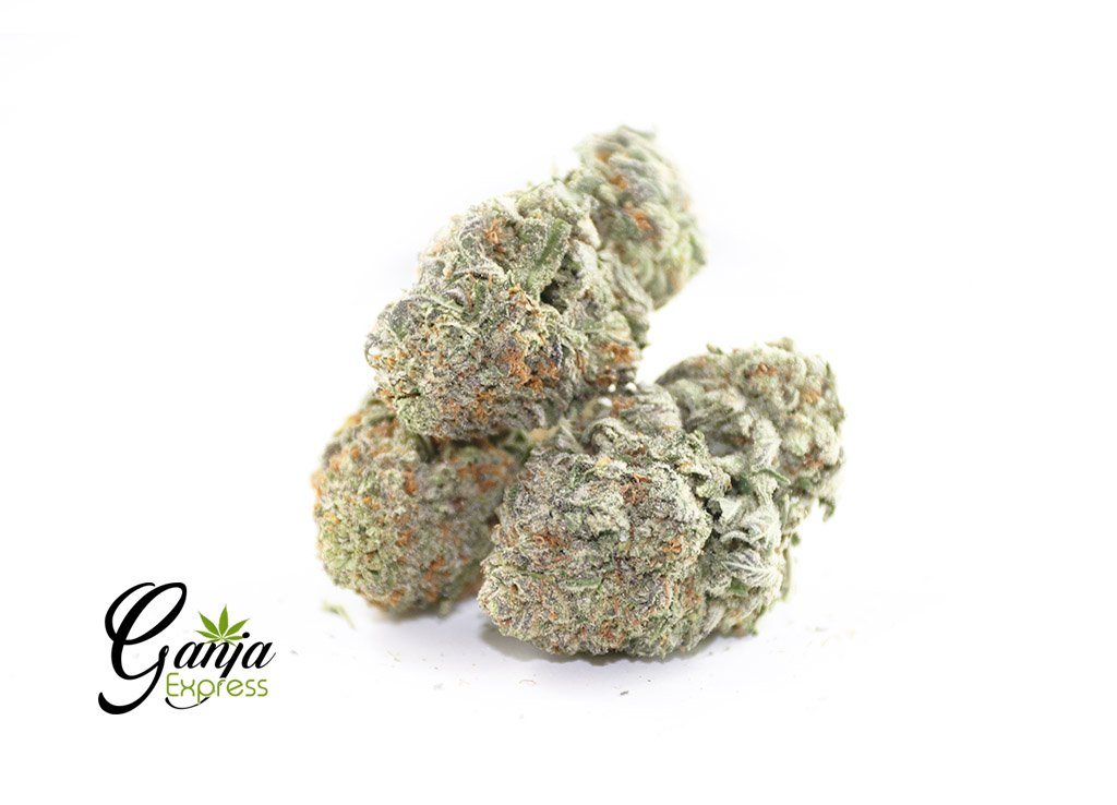 Gas Mask X Death Bubba