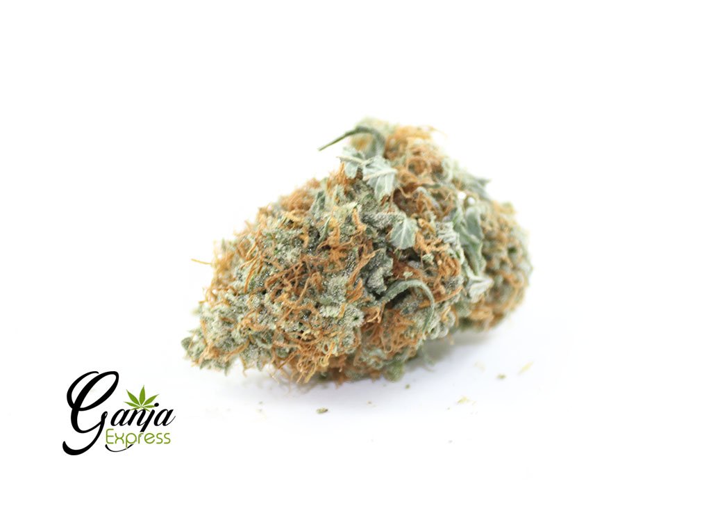 Blue Dream (Greenstar Farms)