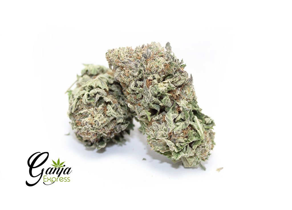House Grape (Bulk)