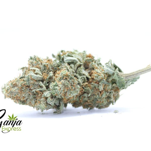 House Hybrid Quarter Pound