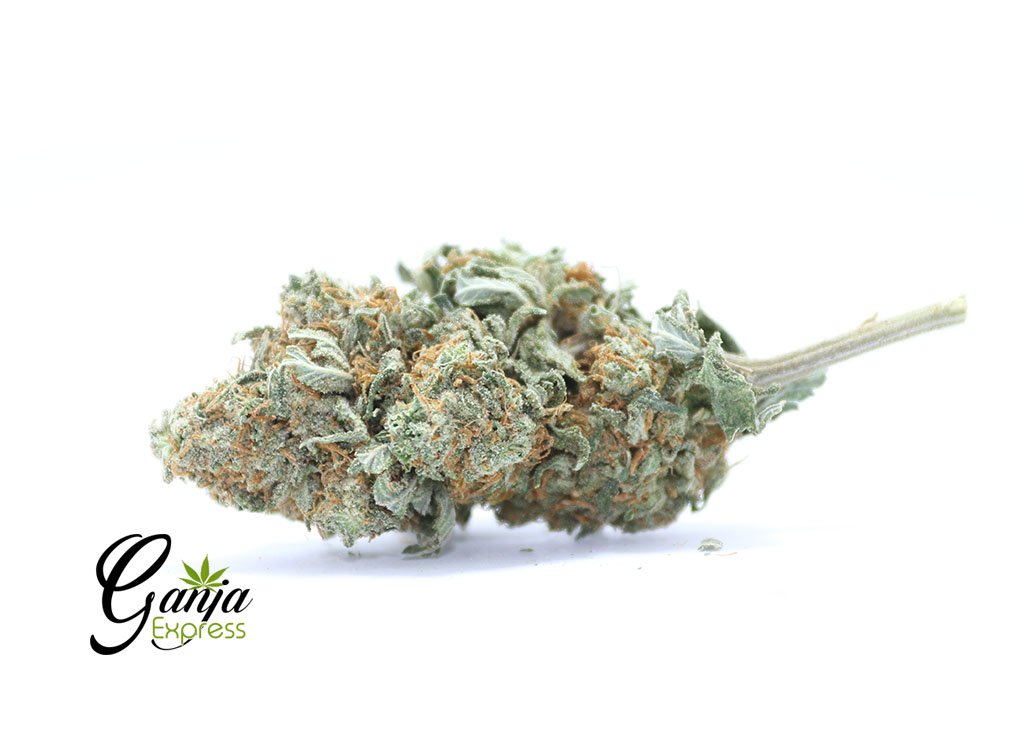 House Hybrid Quarter Pound