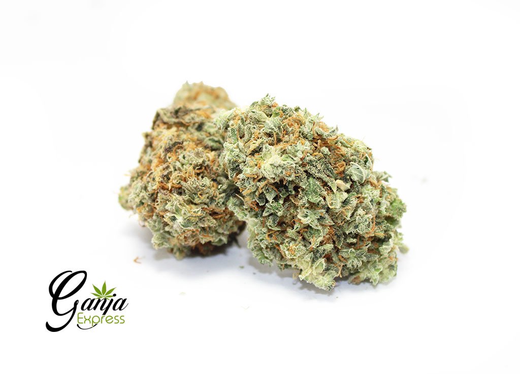 House Indica Quarter Pound