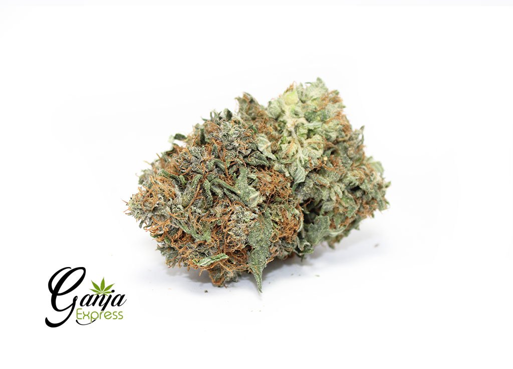 House OG (Bulk)