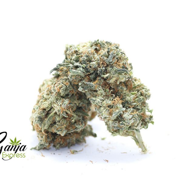 House Sativa Quarter Pound