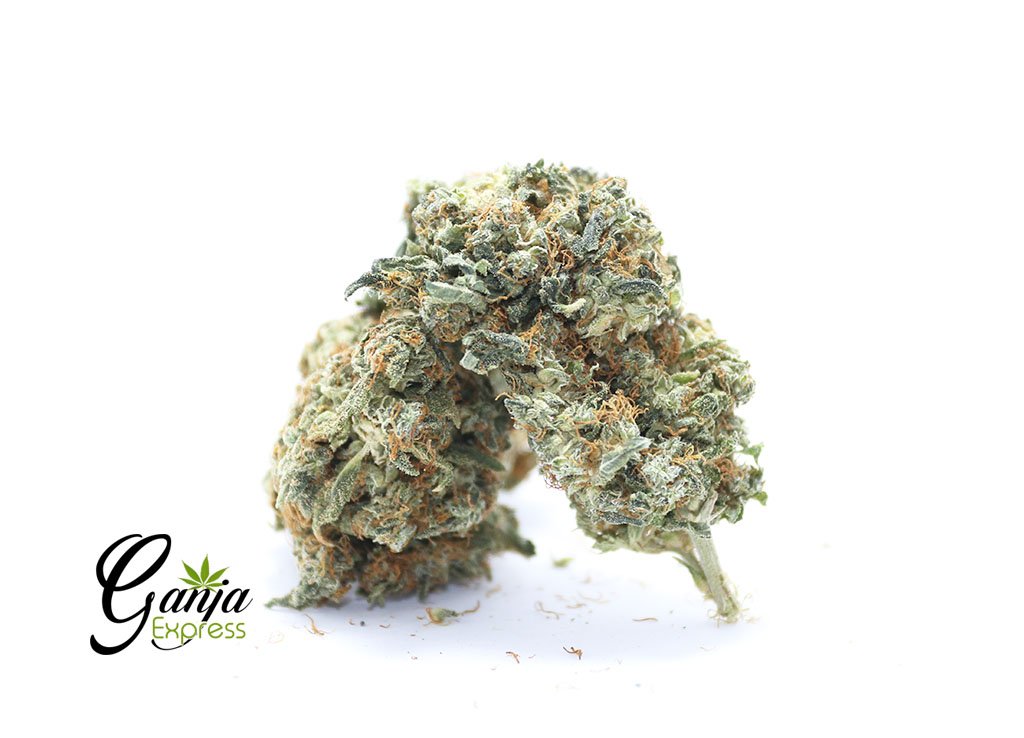 House Sativa Quarter Pound
