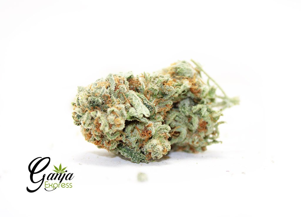 House Sativa Special (Bulk)