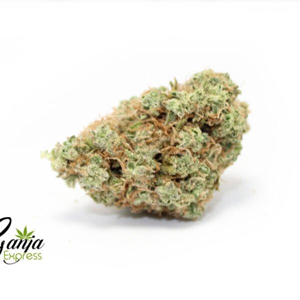 House Sweet Sativa (Bulk)