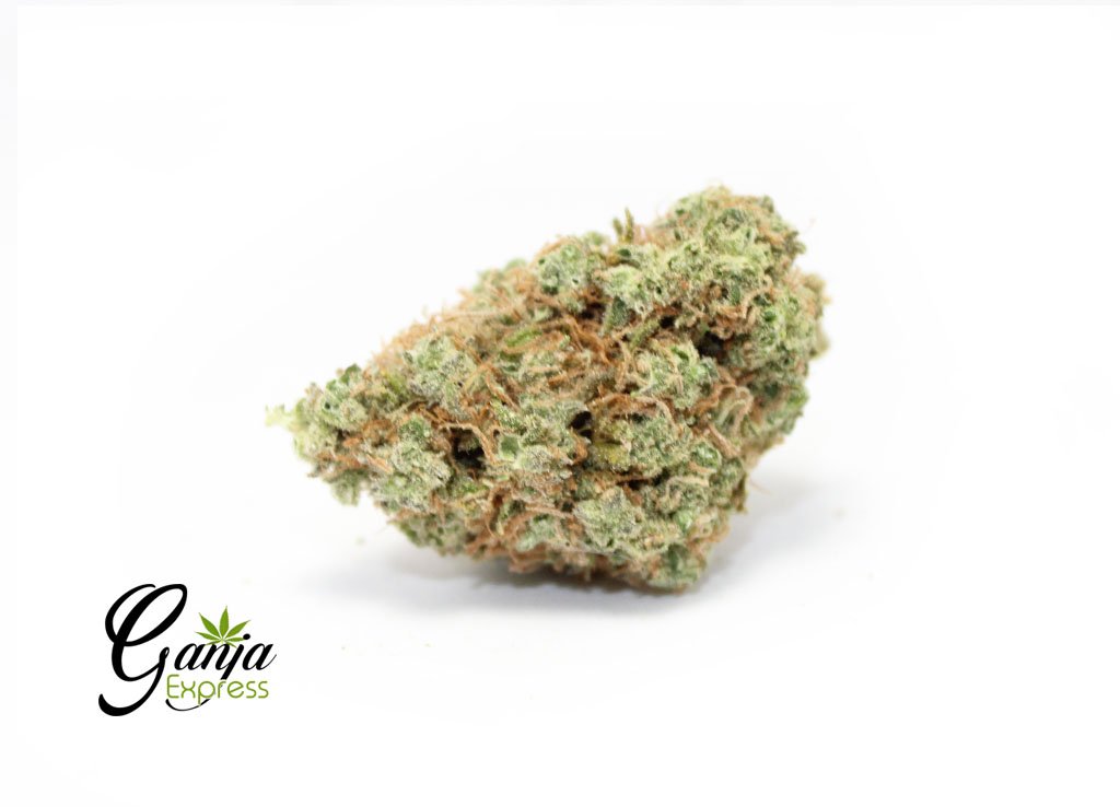 House Sweet Sativa (Bulk)