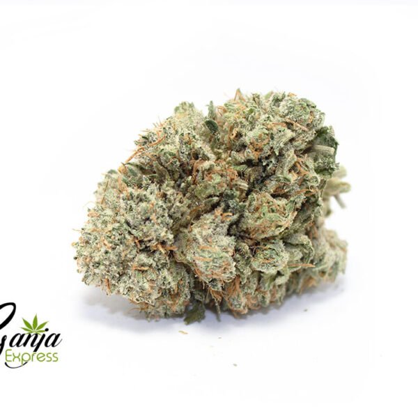House Sweet Tooth (Bulk)
