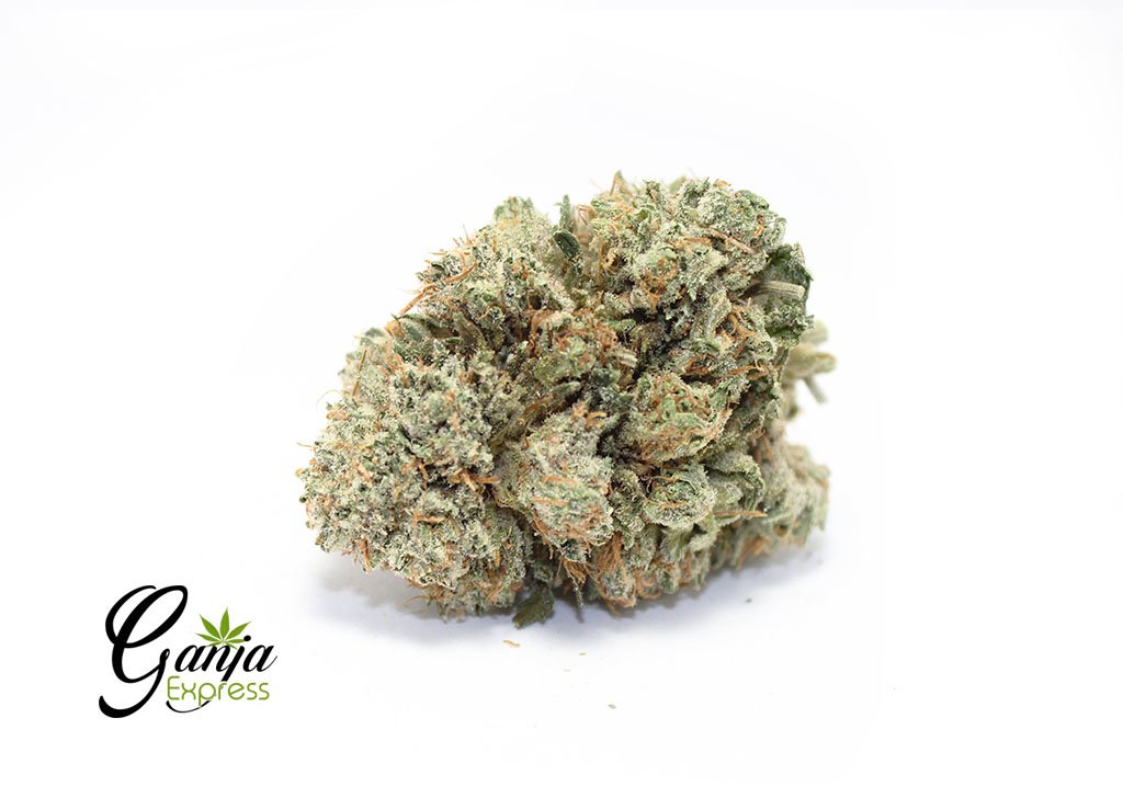 House Sweet Tooth (Bulk)