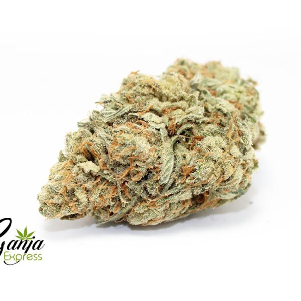 Kootney’s Island Blue Dream (Bulk)