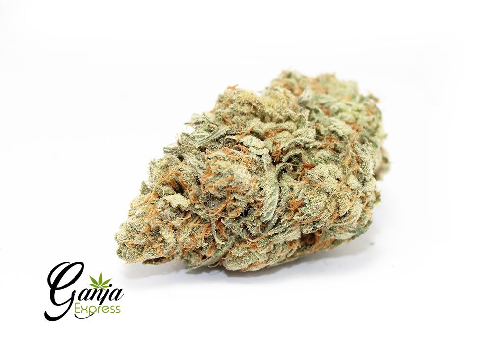 Kootney’s Island Blue Dream (Bulk)