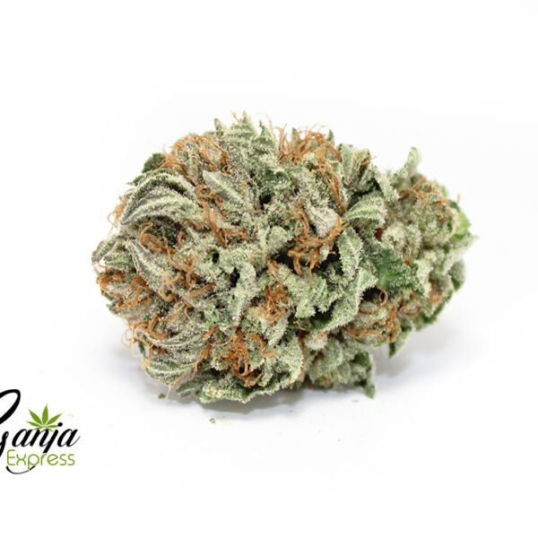Kootney’s Island Indica (Bulk)