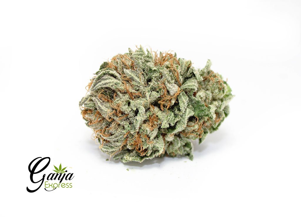 Kootney’s Island Indica (Bulk)