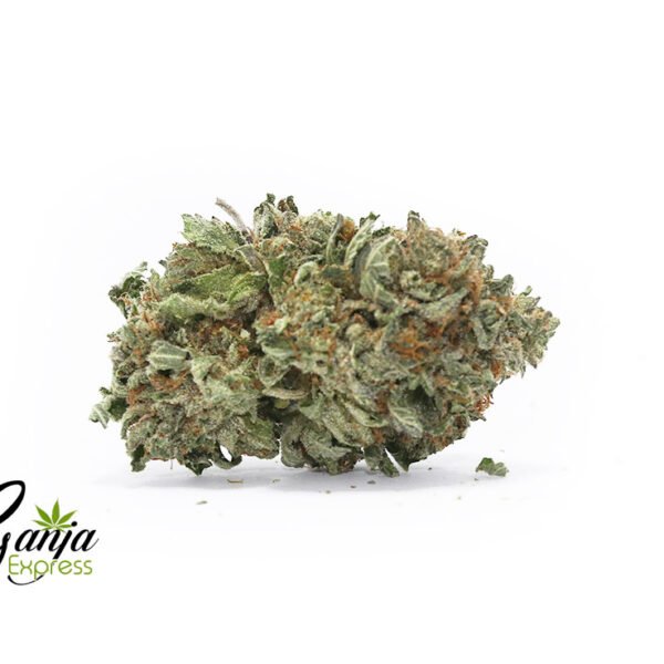 Master Kush #2 (Bulk)